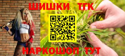 тгк Тула