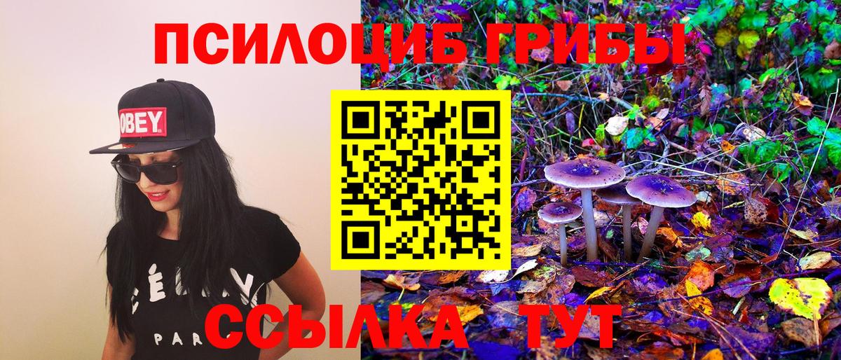 Псилоцибиновые грибы ЛСД Донецк